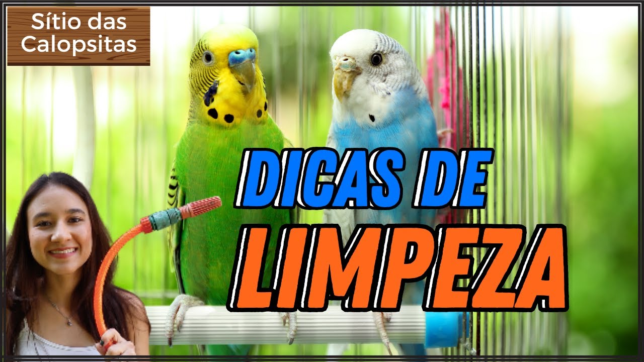 LIMPEZA DA GAIOLA DAS CALOPSITAS