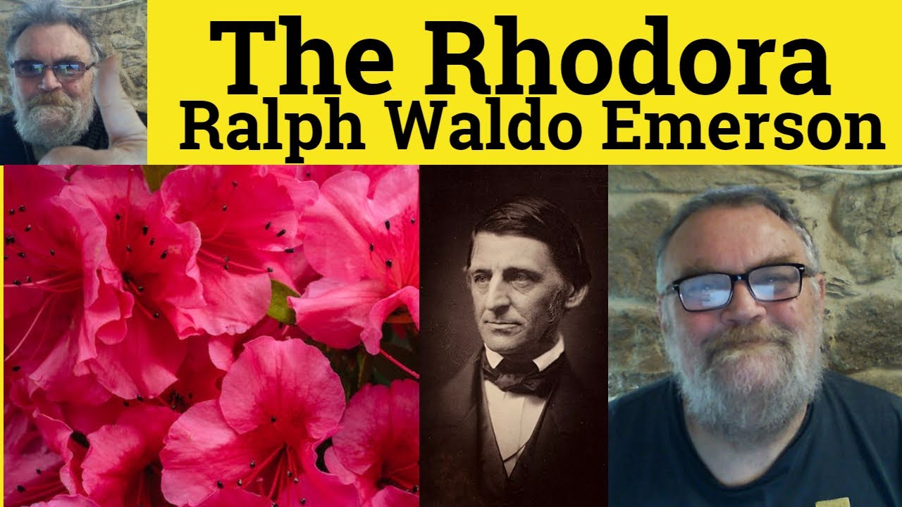 🔵 Wiersz &bdquo;Rhodora&rdquo; Ralpha Waldo Emersona Streszczenie Analiza Czytanie wiersza &bdquo;Rhodora&rdquo; Ralpha W...