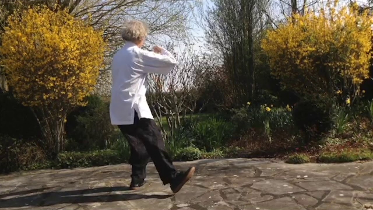 tai ji quan: longue forme de style yang 2ème partie: l'Homme