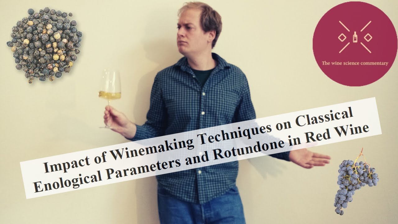 Impact of different winemaking techniques on rotundone (peppery-character) in red wine