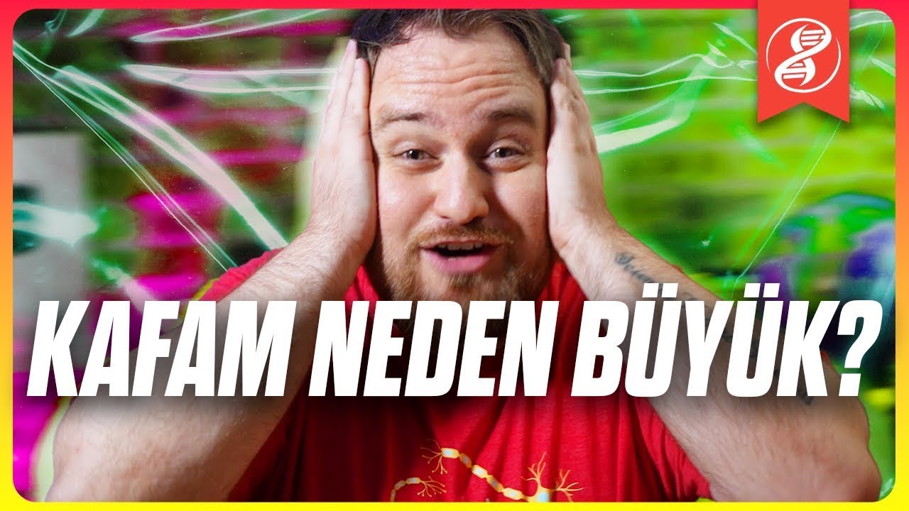 Zekamızın 10 Nedeni: Neden Sadece İnsanlar Bu Kadar Zeki?