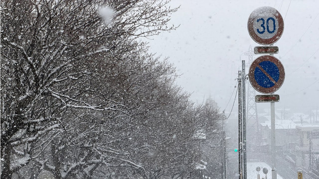 Snowfall in Chiba | Visiting my running route in snow