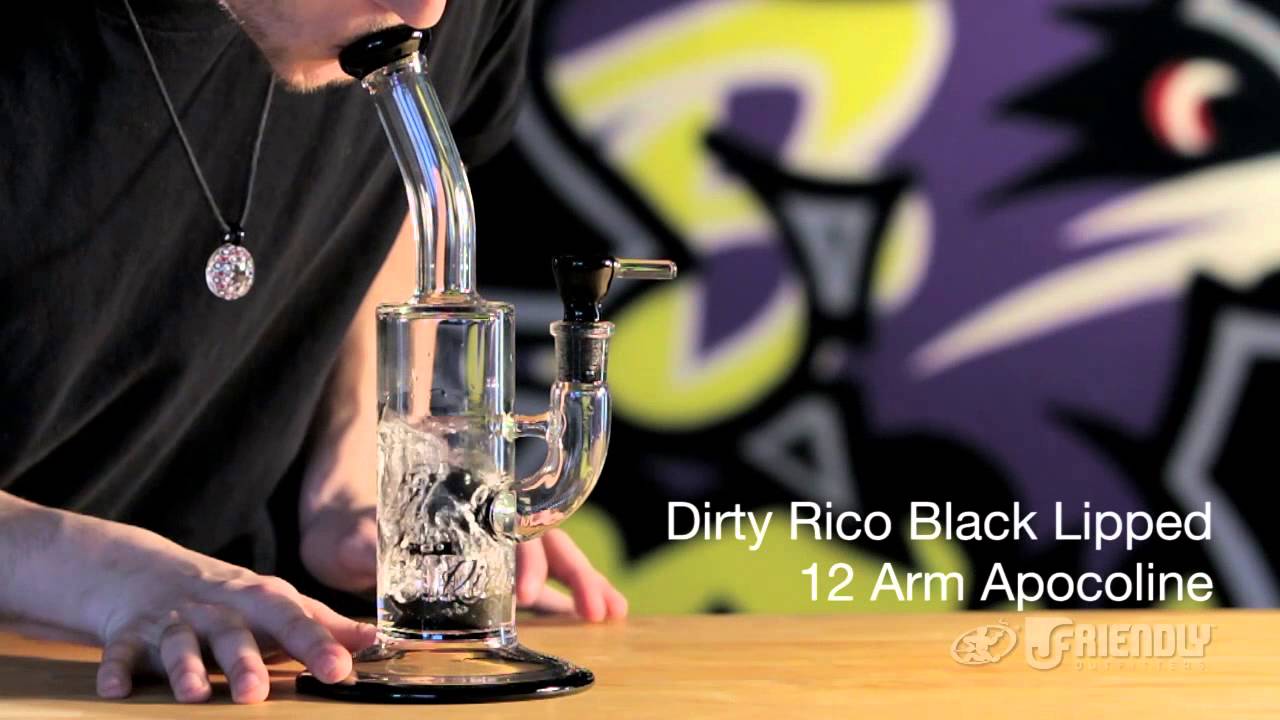Dirty Rico | Black Lipped 12 Arm Apocoline