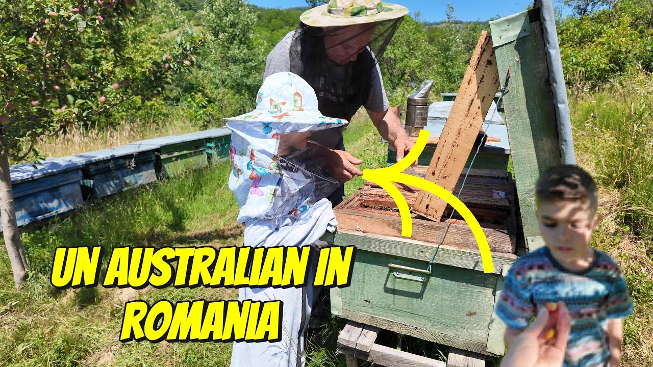 Un australian in Romania- Aprope am renuntat la acest video, dor mare de parinti si de casa!
