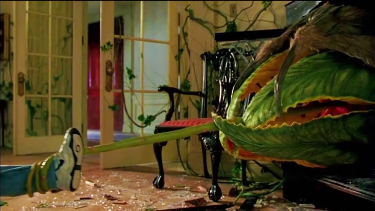 Plantas carnívoras más famosas del cine
