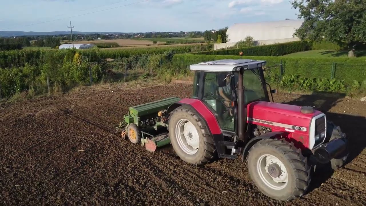 Sianie rzepaku 2025!!! Massey Ferguson 6180 i 3115!!! Siewnik Amazone 