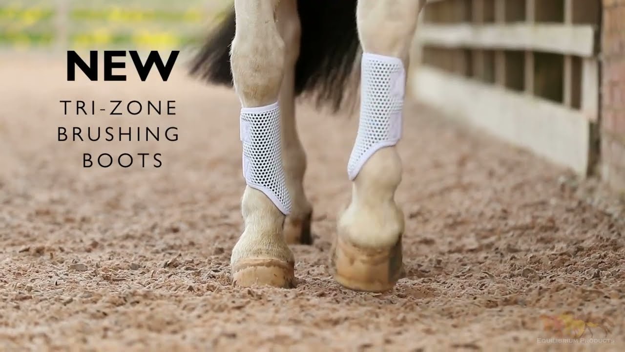 NEW Tri-Zone Brushing Boots 2023