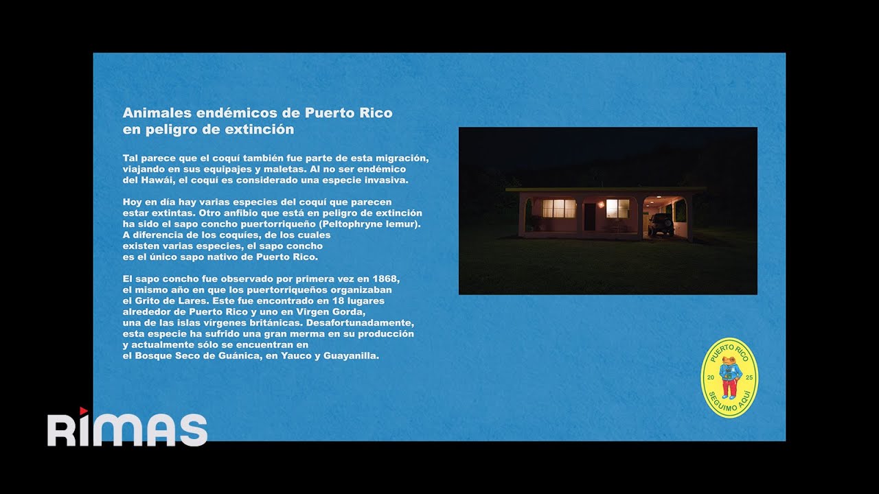 BAD BUNNY - LO QUE LE PASÓ A HAWAii (Visualizer) | DeBÍ TiRAR MáS FOToS