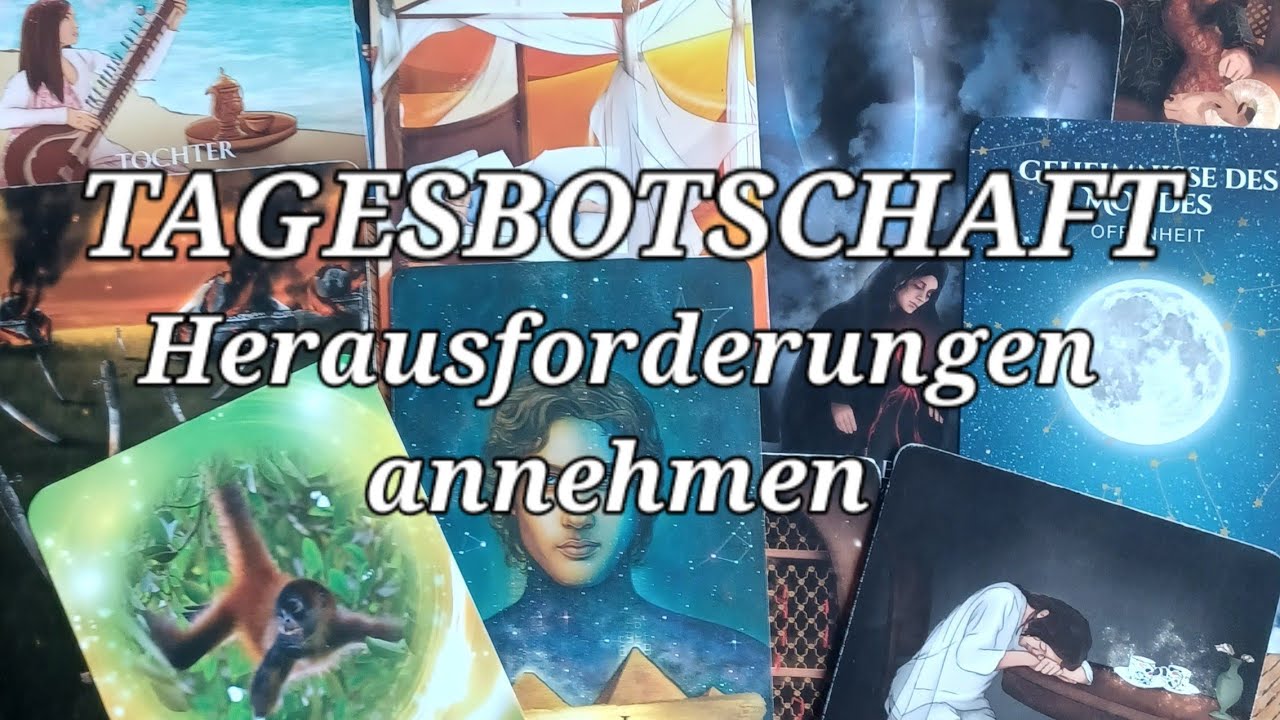 24.2. TAGESBOTSCHAFT ---  Entspanne dich + sei offen für die Überraschungen des Universums