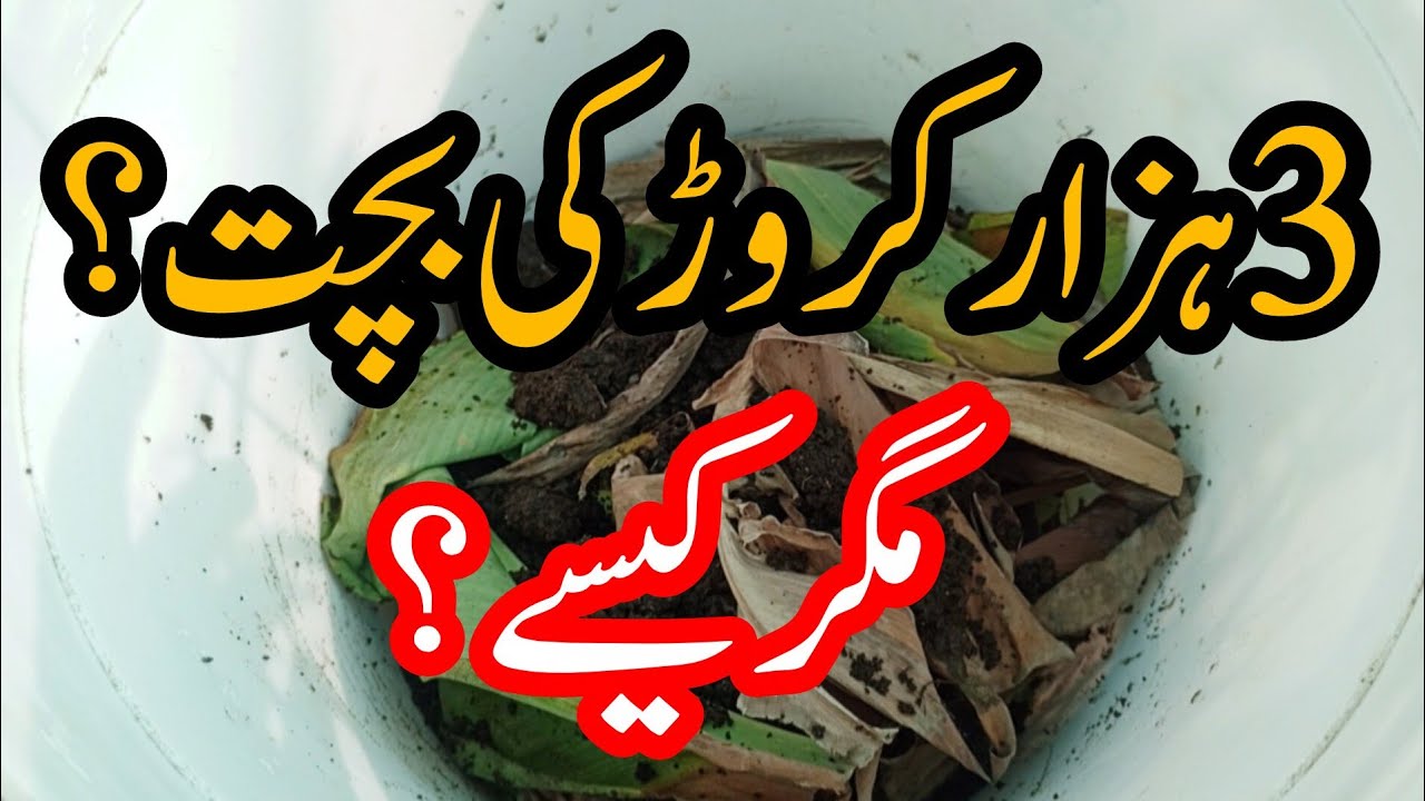 How to use waste material in your garden.Use waste material in your garden .Reuse gardening ideas 🤔