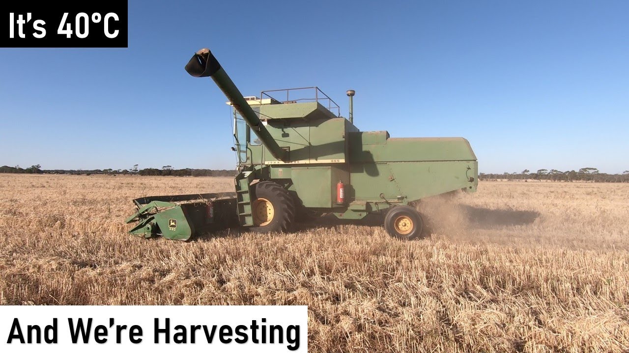 Barley Harvest 2020 With The John Deere 955