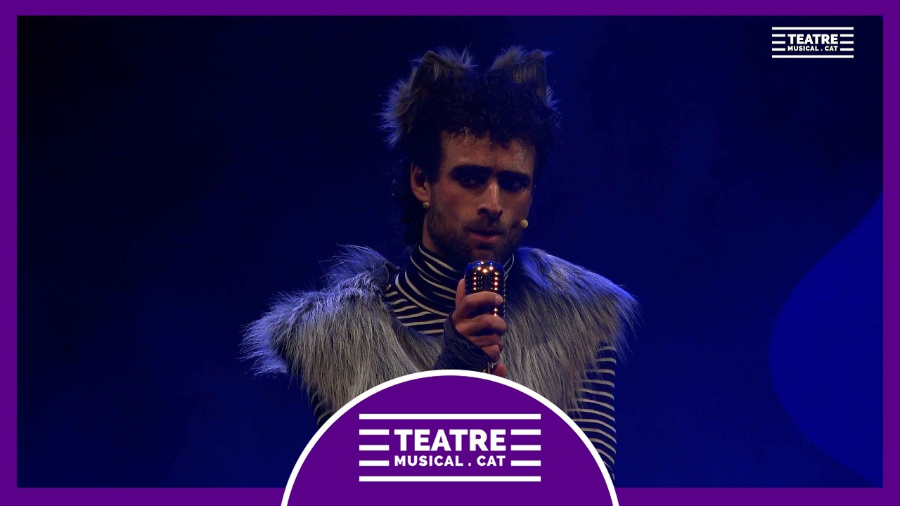 3 PORQUETS [UN BON LLOP] - Jove Teatre Regina - Barcelona 2026