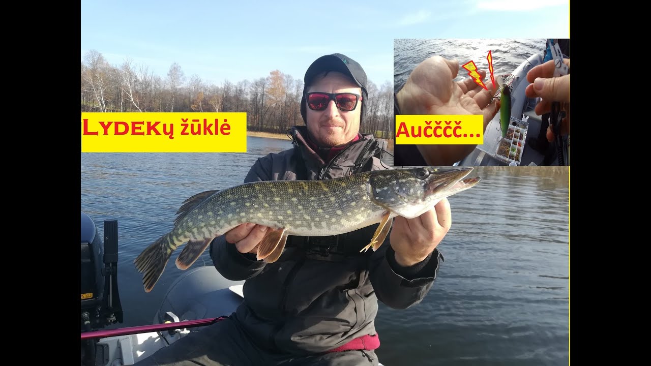 Avilio ežero lydekos.Įkabinau voblerį į piršta!!