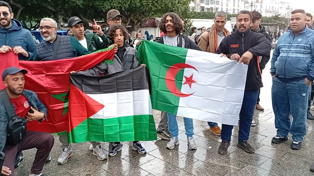 انبهار 👈 الجماهير الجزائريه 🇩🇿وصدمه قويه شافو الجمهور المغربي شحال فرحان 🇲🇦 الجماهير التونسيه ⚽