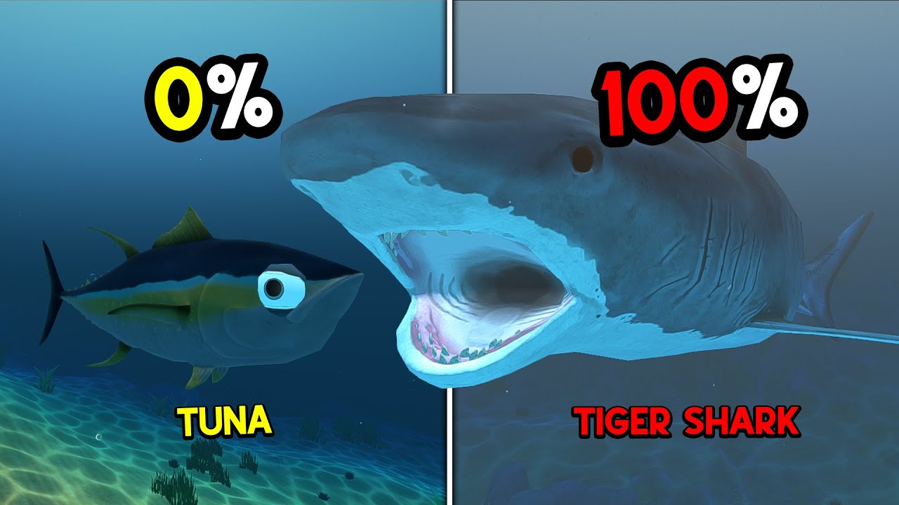 Gue Jadi Ikan TUNA SIRIP BIRU Sampai Dapat TIGER SHARK PALING KEJAM... Feed And Grow Fish