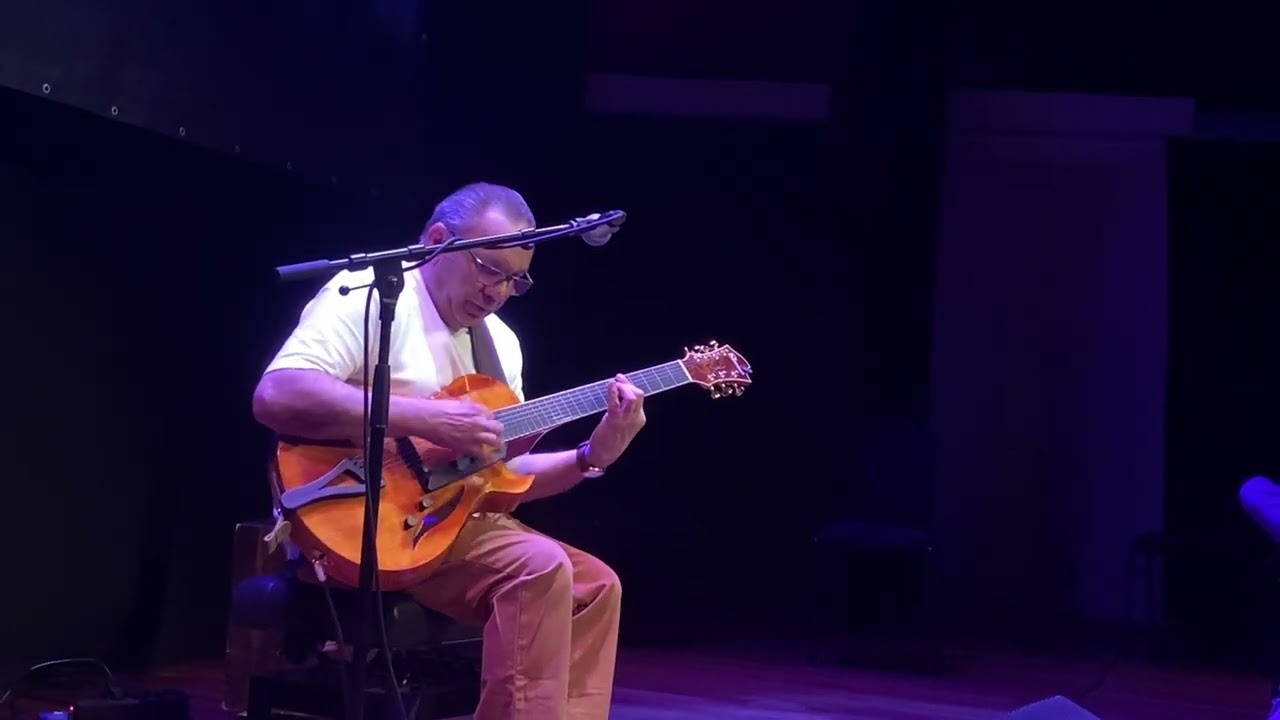 A piece of concert of Biréli Lagrène in Eindhoven