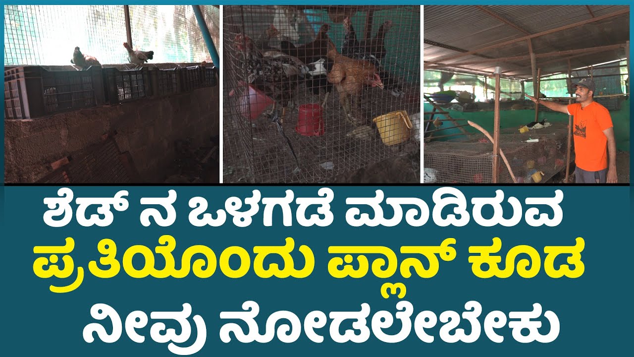 ಶೆಡ್ ನ ಒಳಗಡೆ ಮಾಡಿರುವ ಪ್ರತಿಯೊಂದು ಪ್ಲಾನ್ ಕೂಡ ನೀವು ನೋಡಲೇಬೇಕು