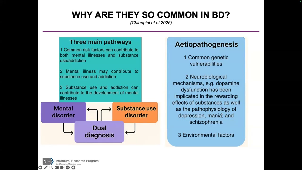 DBSA NCA Speaker Series: Dr. Nefize Yalin on Alcohol and Substance use in Bipolar Disorder