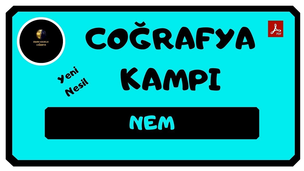 NEM