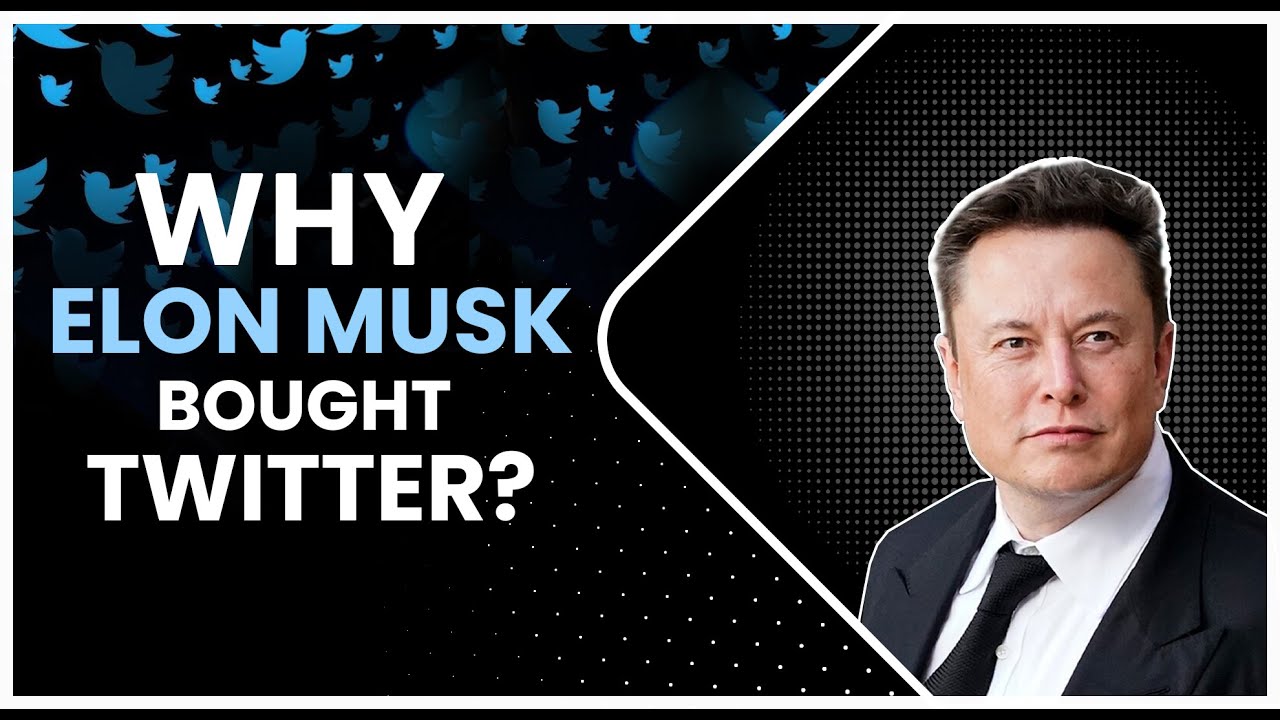 Why Did Elon Musk Buy Twitter | A Twitter Case Study