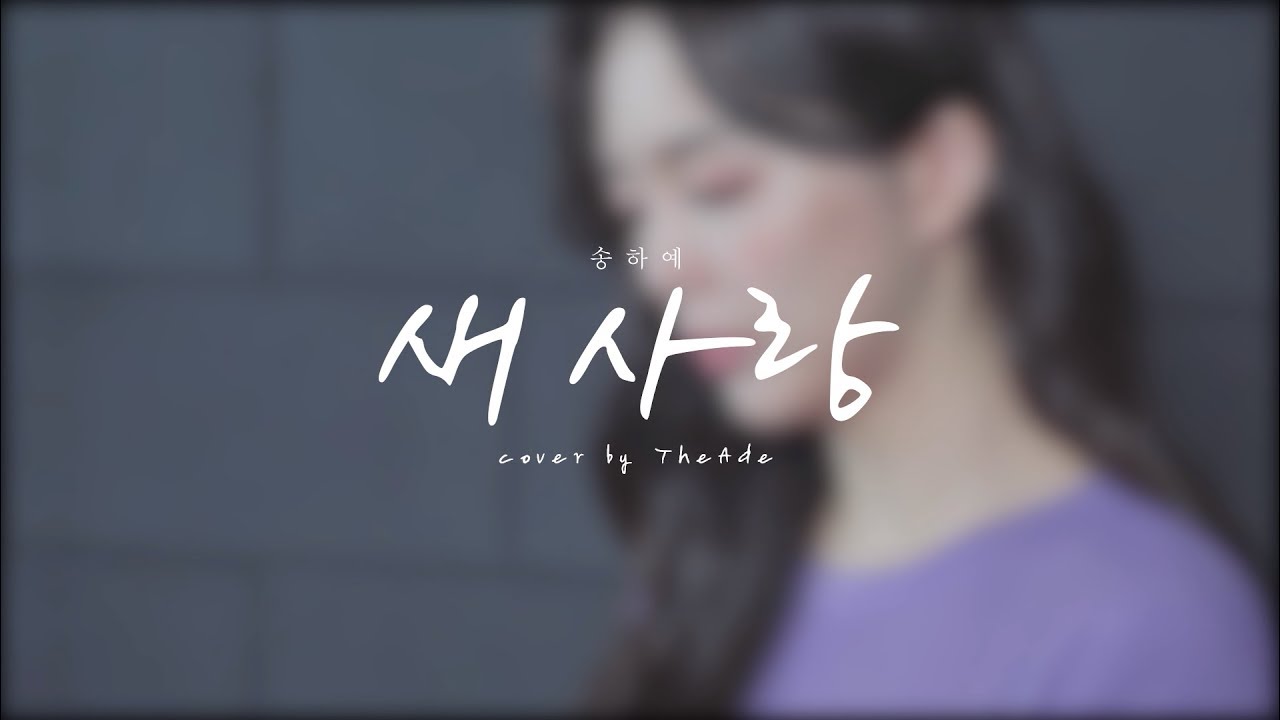 새 사랑│Cover by 안다은 of 디에이드(THE ADE)
