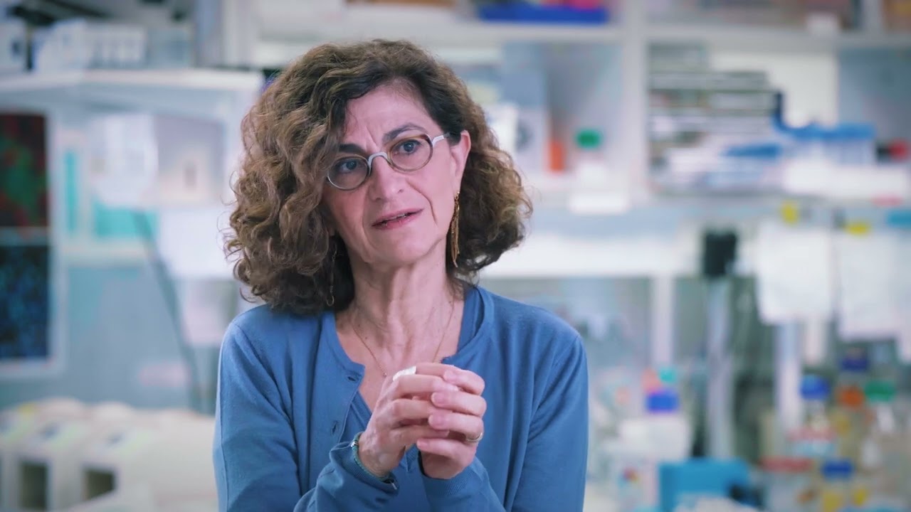 Prof. Geneviève Almouzni: 2024 Laureate - L'Oréal-UNESCO For Women In Science International Awards