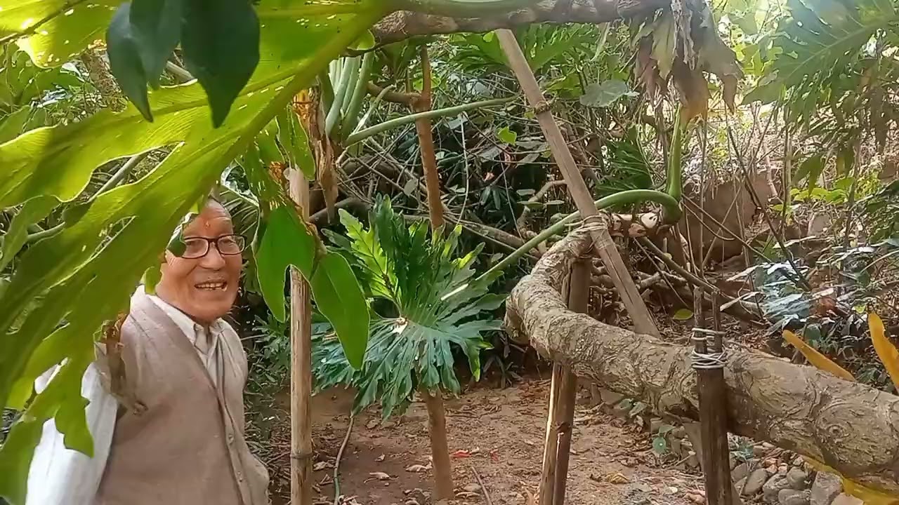 Nagari,Dhajeaa , Darjeeling Shri N.D.Rai sir, Botanist and  plant Conservationist.🙏