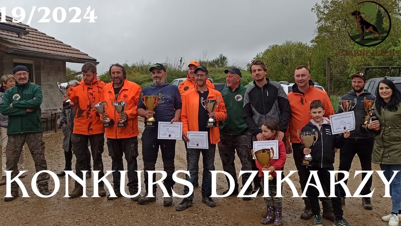 Konkurs dzikarzy we Francji na małej zagrodzie.CZARNE DUCHY ZNAD WISŁY FCI.19/2024. #dog #wildboar