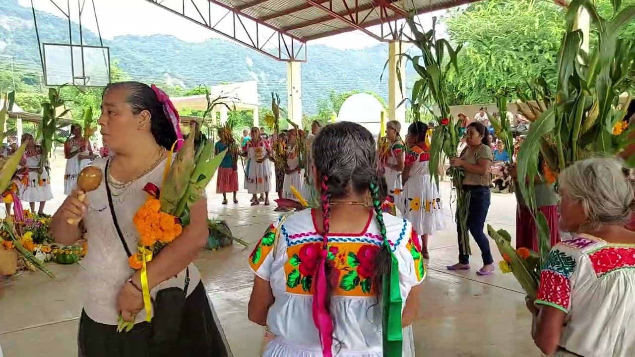 Fiesta de elote.