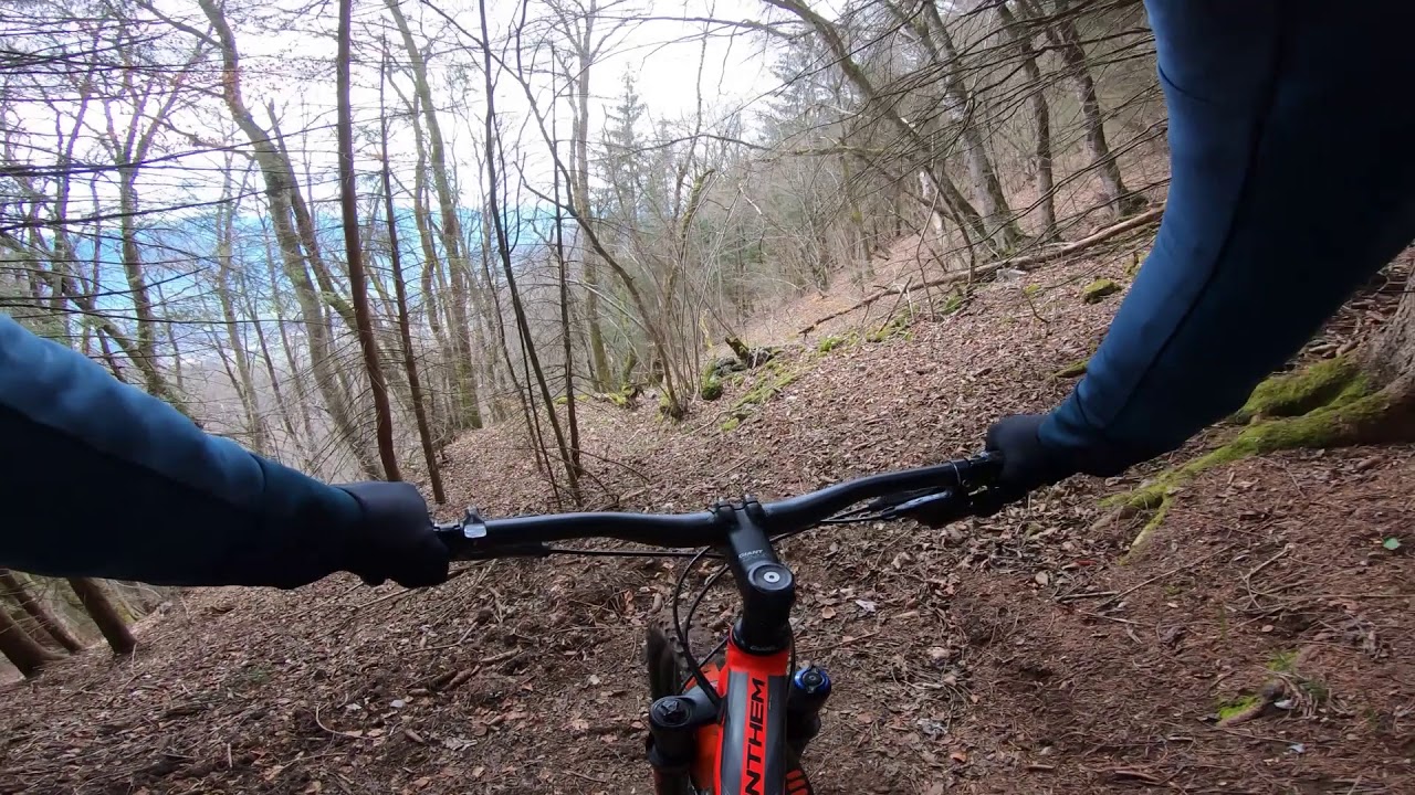 VTT Col du Potat Bois des Millieres - Arclusaz - Savoie Bauges