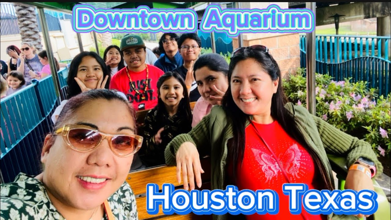 Downtown Aquarium Houston Texas!