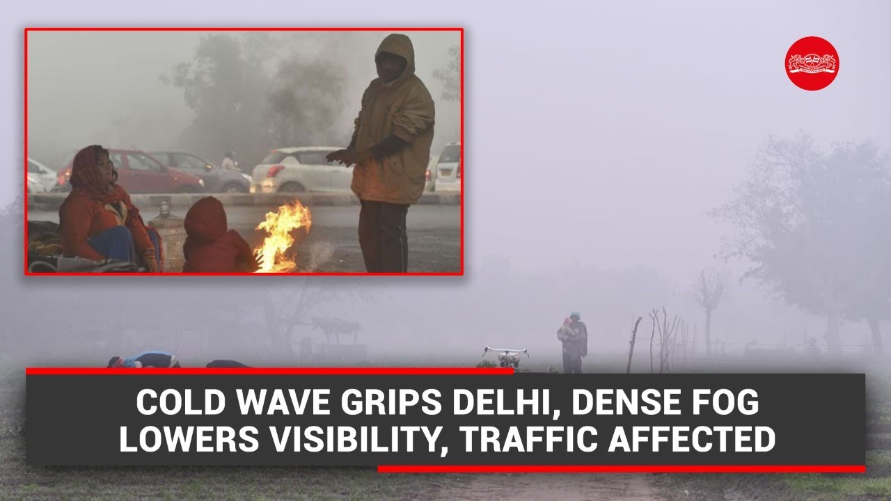 Cold wave grips Delhi, dense fog lowers visibility, traffic affected