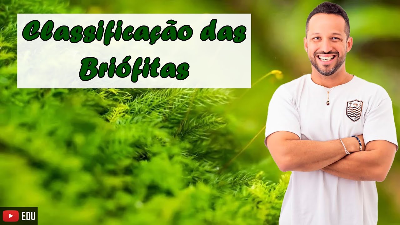 Classificação das Briófitas - Divisões e Exemplos - Botânica