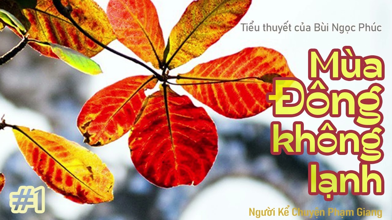 Mùa Đông không lạnh I Phần 1 I tiểu thuyết của Bùi Ngọc Phúc I NKC Phạm Giang