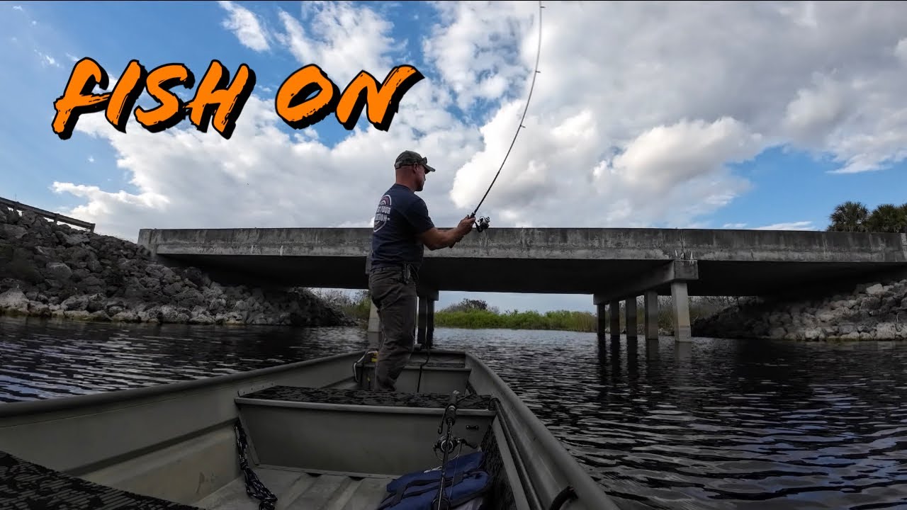 Alligator Alley Fishing 12ft Jon Boat || Tracker 1232 #jonboat #fishing #alligator