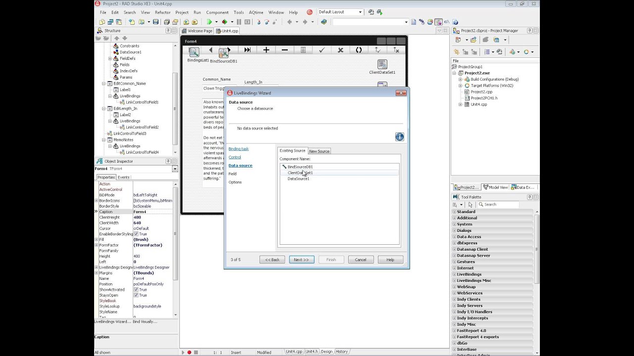 January 6, 2013 - Your first Dataset C++ FireMonkey application using ClientDataSet