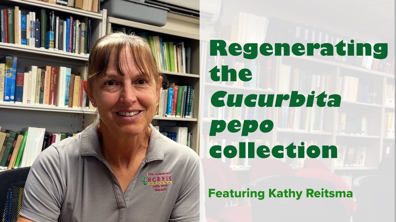 Regenerating the Cucurbita pepo Collection