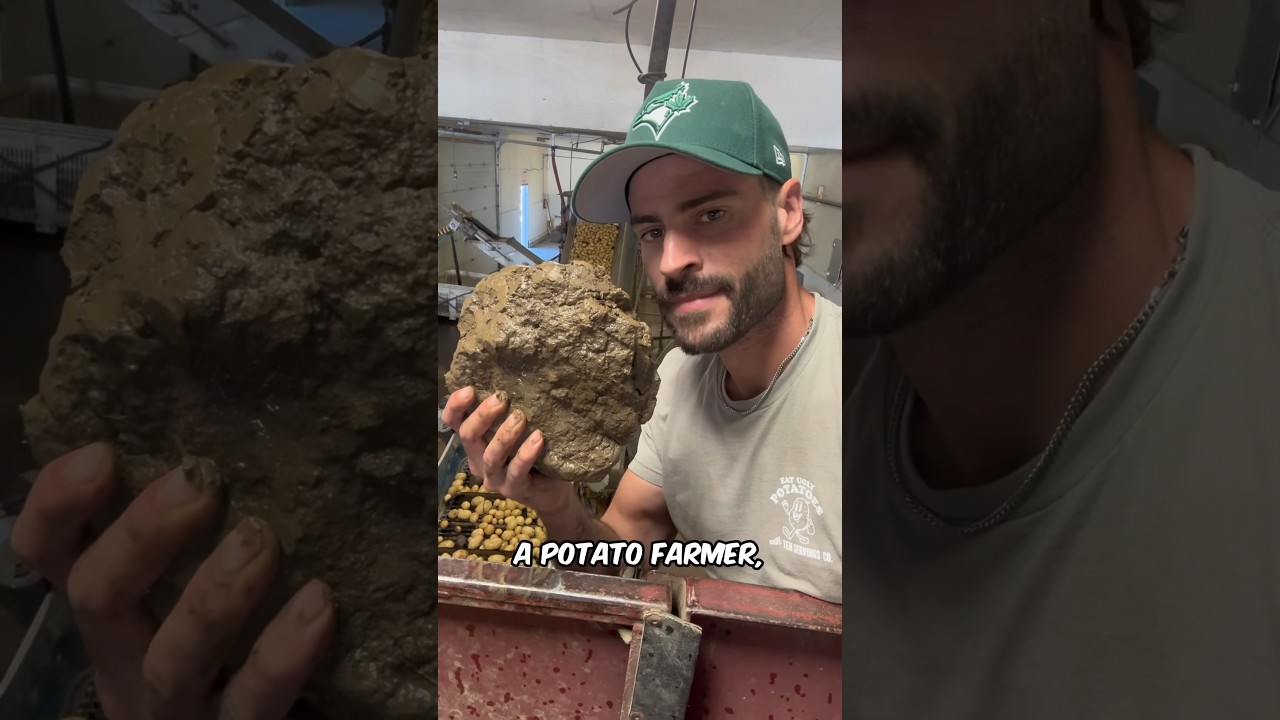 Farming dirt today instead of potatoes 😔 #potatoes #howitsmade #farmer
