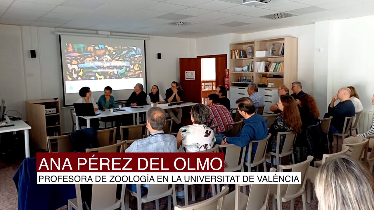 JORNADA BIG HISTORY | La Vida: los animales - Ana Pérez del Olmo
