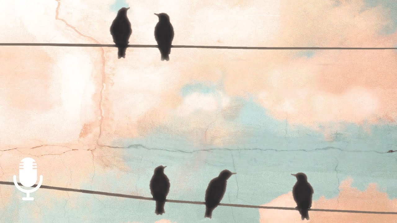 &laquo;Глубокий колодец&raquo;, сезон 2, серия 3: &laquo;Ты действительно известен&raquo;