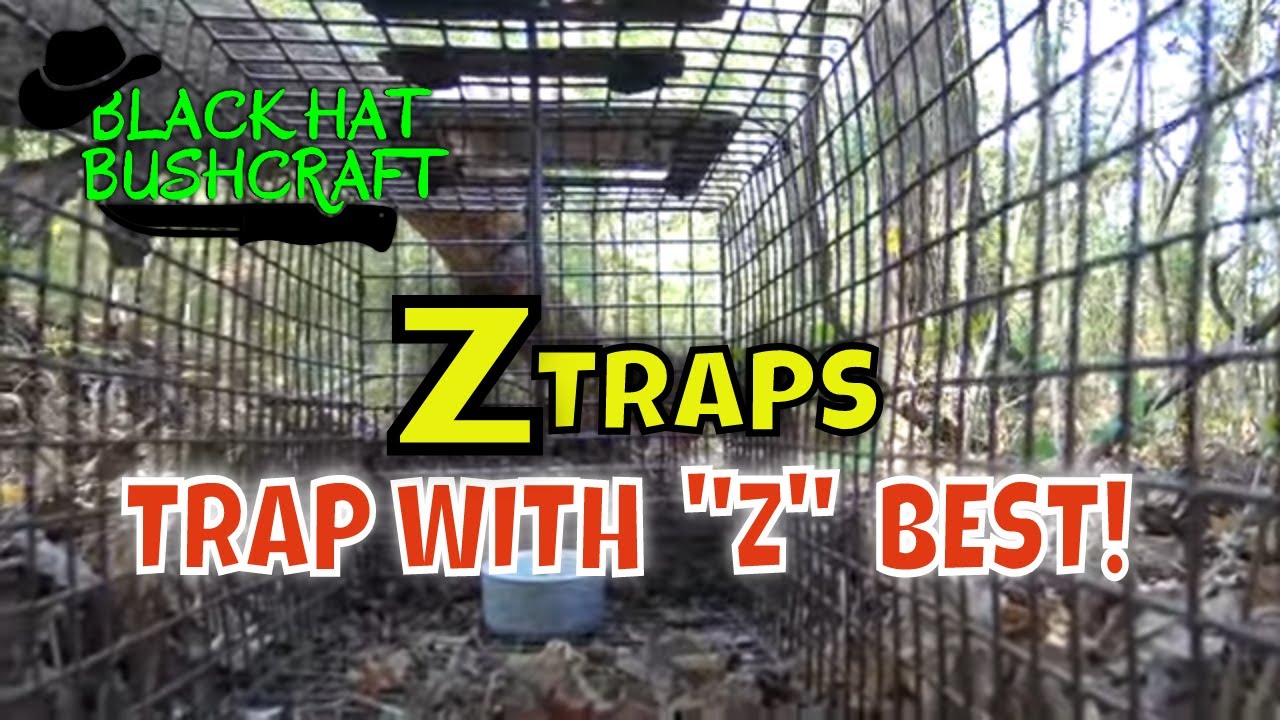 ZTRAPS: Идеальная клетка-ловушка?