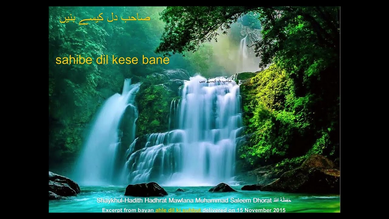 Sahibe dil kese bane | Shaykh Mawlana Muhammad Saleem Dhorat | صاحب دل کیسے بنیں