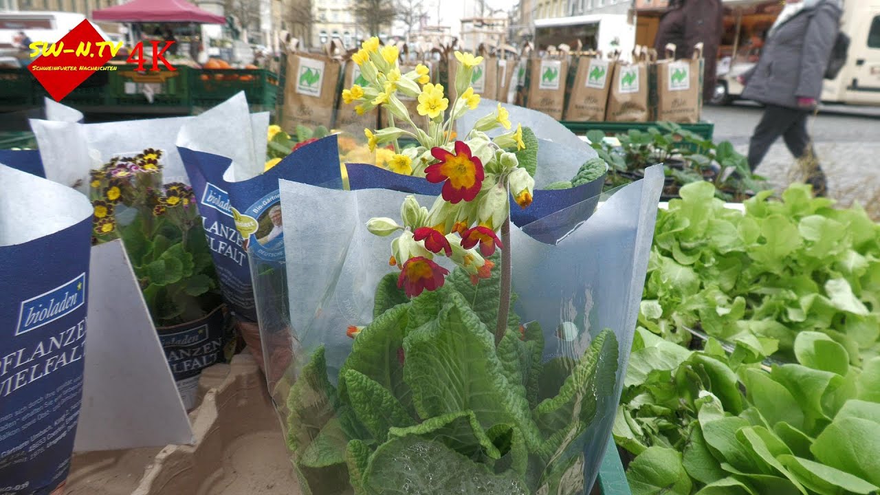 Markttag in Schweinfurt