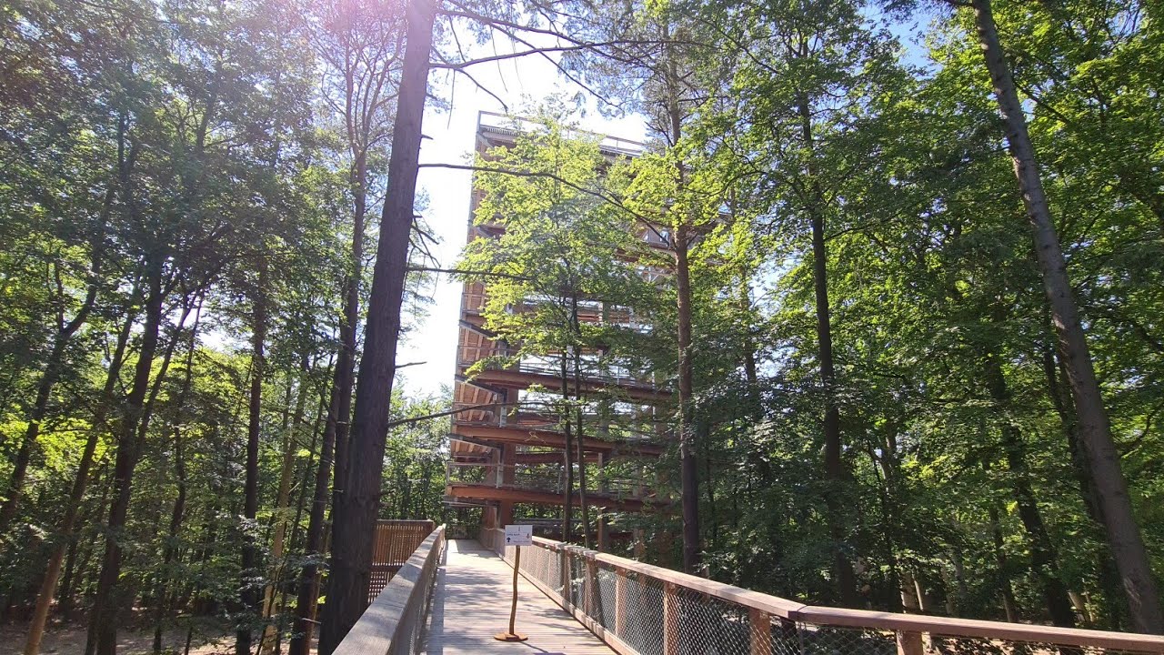 Der Baumwipfelpfad auf Usedom/ Heringsdorf