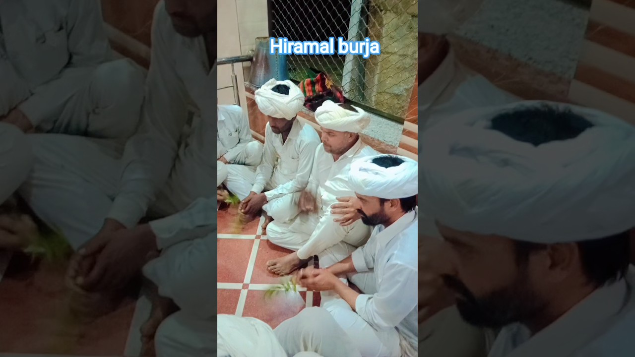 Hiramal burja #shortvideo ,#trending #shortvideo #highlights
