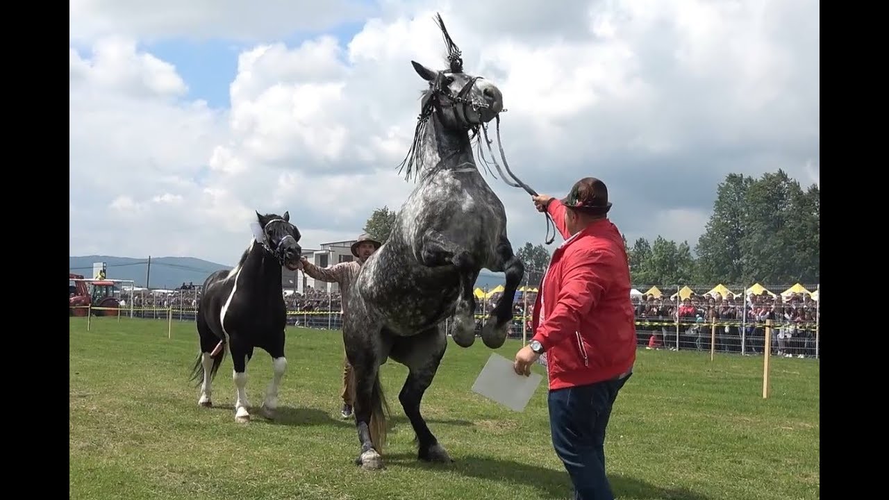 Parada cailor  Marginea, Bucovina 20 Mai 2018