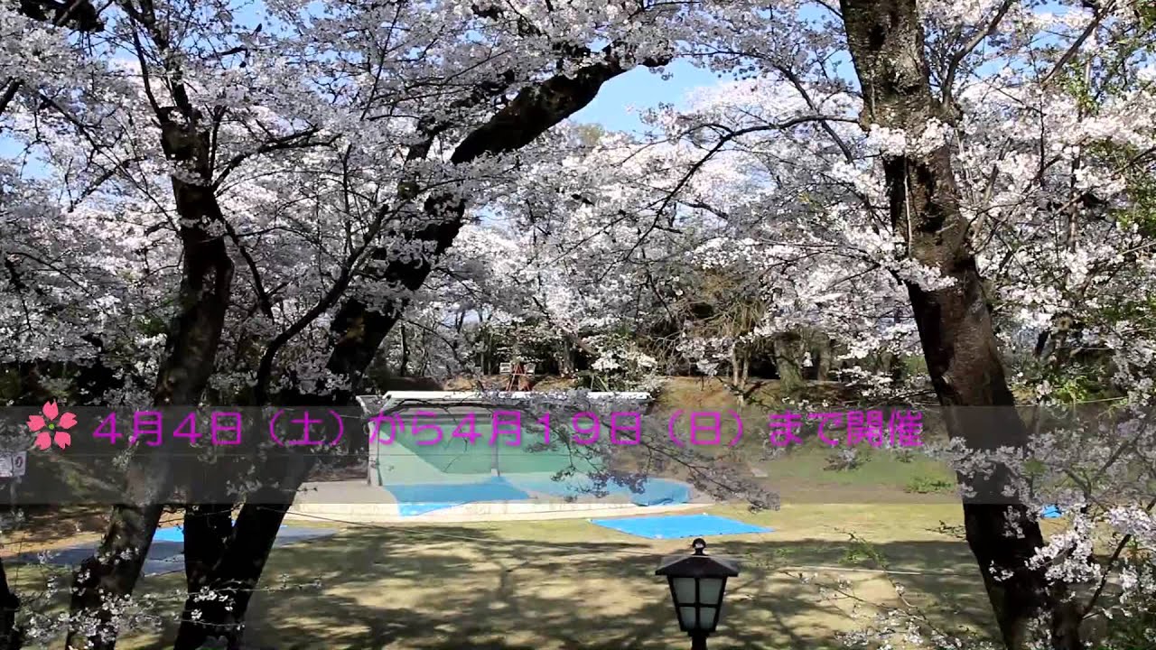 大田原さくら祭