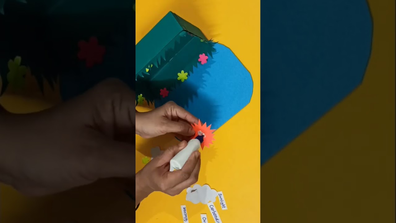 Photosynthesis model#sciencemodel#scienceproject #viral # full video-  