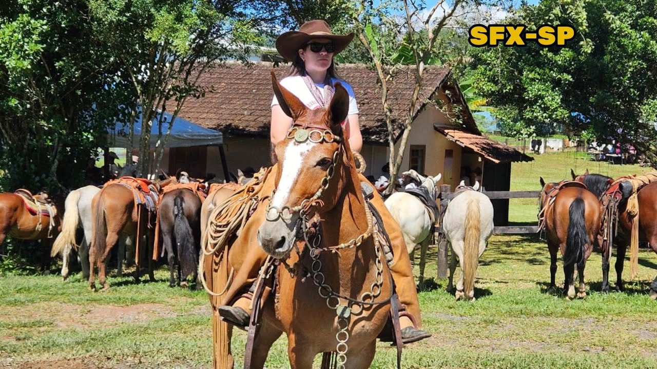 MAIS DE 300 MULHERES! A GRANDE CAVALGADA FEMININA DE SFX