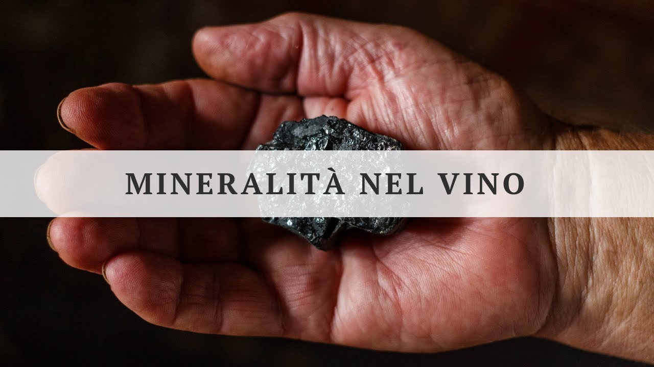Le basi chimiche e sensoriali della mineralità nei vini
